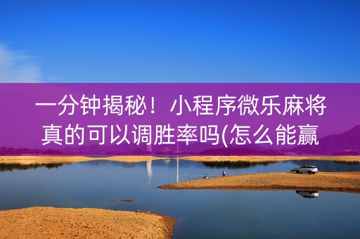 一分钟揭秘！小程序微乐麻将真的可以调胜率吗(怎么能赢发牌规律)