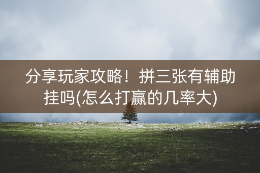 分享玩家攻略！拼三张有辅助挂吗(怎么打赢的几率大)