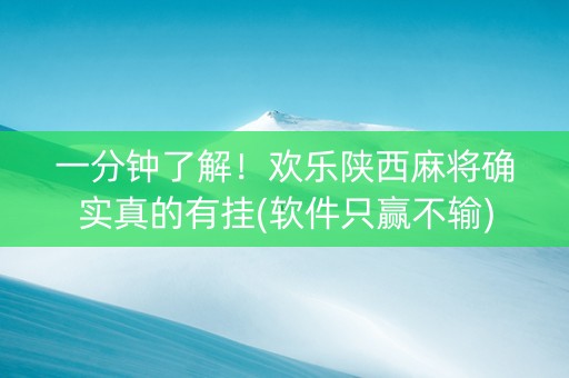 一分钟了解！欢乐陕西麻将确实真的有挂(软件只赢不输)