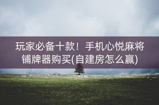 玩家必备十款！手机心悦麻将铺牌器购买(自建房怎么赢)