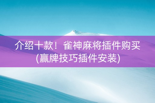 介绍十款！雀神麻将插件购买(赢牌技巧插件安装)