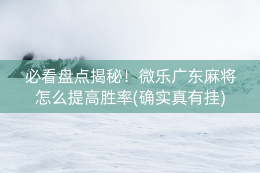 必看盘点揭秘！微乐广东麻将怎么提高胜率(确实真有挂)