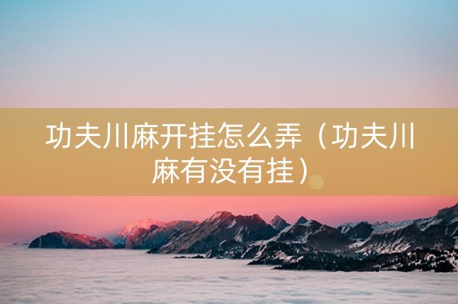 功夫川麻开挂怎么弄（功夫川麻有没有挂）
