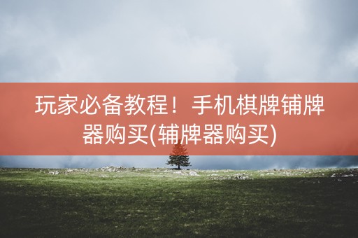 玩家必备教程！手机棋牌铺牌器购买(辅牌器购买)