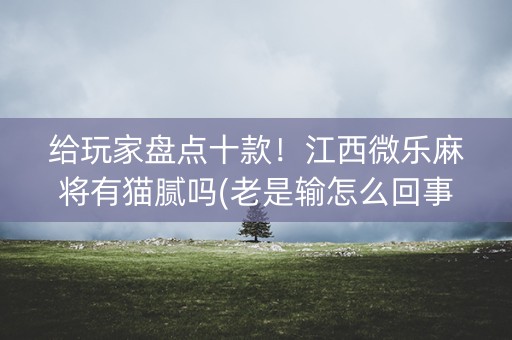 给玩家盘点十款！江西微乐麻将有猫腻吗(老是输怎么回事)
