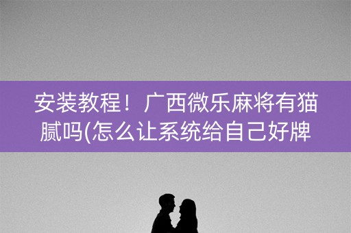 安装教程！广西微乐麻将有猫腻吗(怎么让系统给自己好牌)