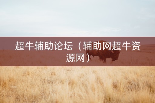 超牛辅助论坛（辅助网超牛资源网）