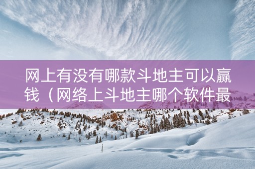 网上有没有哪款斗地主可以赢钱（网络上斗地主哪个软件最好）