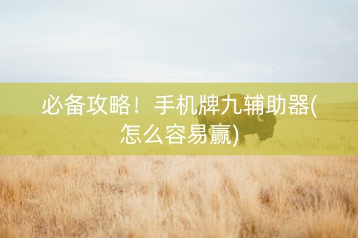 必备攻略！手机牌九辅助器(怎么容易赢)