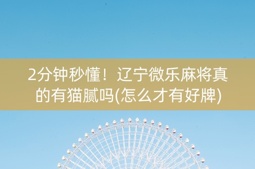 2分钟秒懂！辽宁微乐麻将真的有猫腻吗(怎么才有好牌)