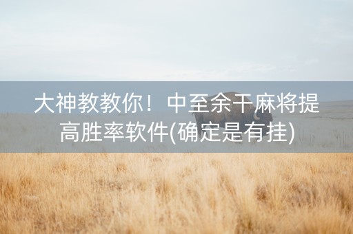 大神教教你！中至余干麻将提高胜率软件(确定是有挂)