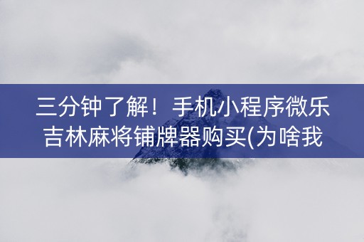 三分钟了解！手机小程序微乐吉林麻将铺牌器购买(为啥我总是输)