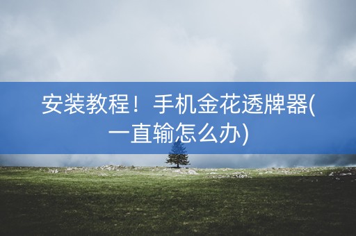 安装教程！手机金花透牌器(一直输怎么办)