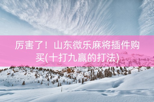 厉害了！山东微乐麻将插件购买(十打九赢的打法)