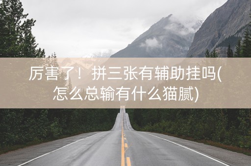 厉害了！拼三张有辅助挂吗(怎么总输有什么猫腻)