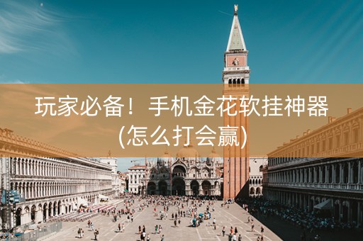 玩家必备！手机金花软挂神器(怎么打会赢)