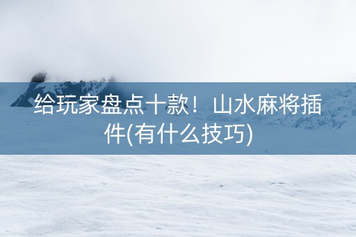给玩家盘点十款！山水麻将插件(有什么技巧)