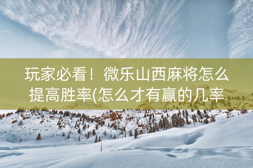 玩家必看！微乐山西麻将怎么提高胜率(怎么才有赢的几率)
