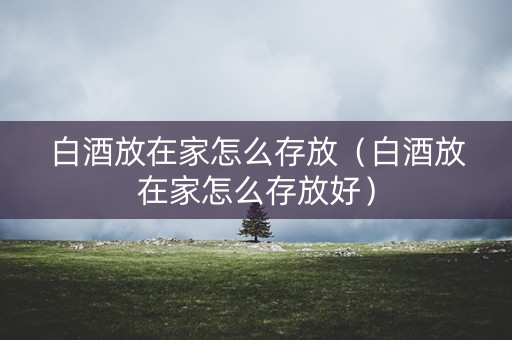 白酒放在家怎么存放（白酒放在家怎么存放好）