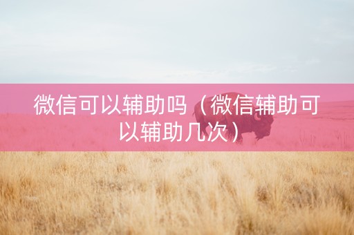 微信可以辅助吗（微信辅助可以辅助几次）
