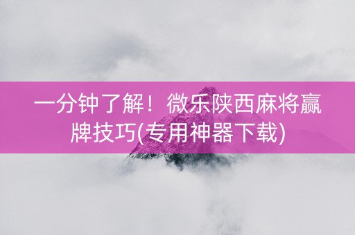 一分钟了解！微乐陕西麻将赢牌技巧(专用神器下载)