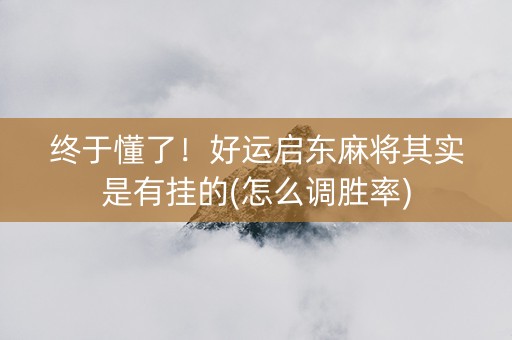 终于懂了！好运启东麻将其实是有挂的(怎么调胜率)