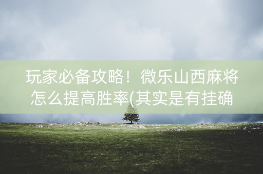 玩家必备攻略！微乐山西麻将怎么提高胜率(其实是有挂确实有挂)