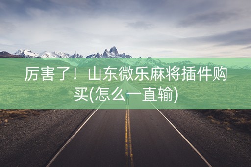 厉害了！山东微乐麻将插件购买(怎么一直输)
