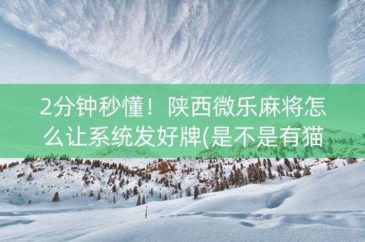 2分钟秒懂！陕西微乐麻将怎么让系统发好牌(是不是有猫腻)