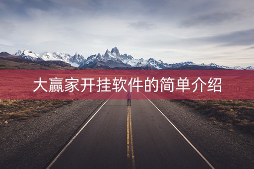 大赢家开挂软件的简单介绍