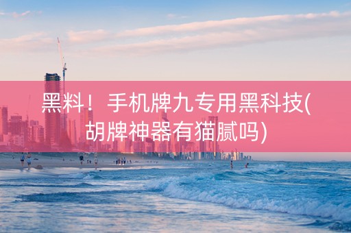 黑料！手机牌九专用黑科技(胡牌神器有猫腻吗)