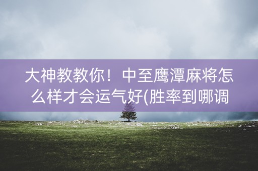 大神教教你！中至鹰潭麻将怎么样才会运气好(胜率到哪调)