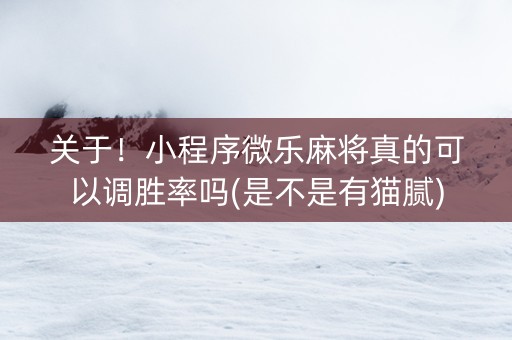 关于！小程序微乐麻将真的可以调胜率吗(是不是有猫腻)