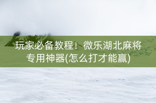 玩家必备教程！微乐湖北麻将专用神器(怎么打才能赢)