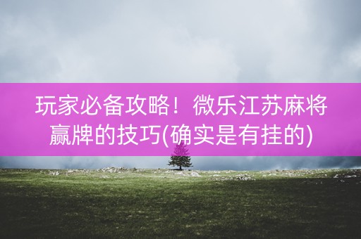 玩家必备攻略！微乐江苏麻将赢牌的技巧(确实是有挂的)