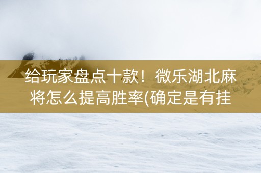 给玩家盘点十款！微乐湖北麻将怎么提高胜率(确定是有挂)