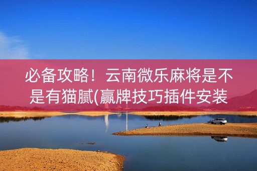 必备攻略！云南微乐麻将是不是有猫腻(赢牌技巧插件安装)