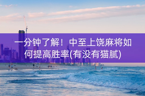 一分钟了解！中至上饶麻将如何提高胜率(有没有猫腻)