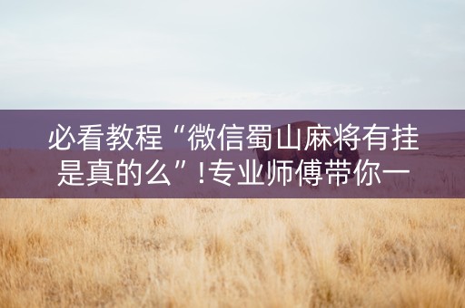 必看教程“微信蜀山麻将有挂是真的么”!专业师傅带你一起了解（详细教程）-知乎