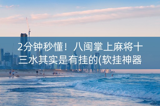 2分钟秒懂！八闽掌上麻将十三水其实是有挂的(软挂神器)