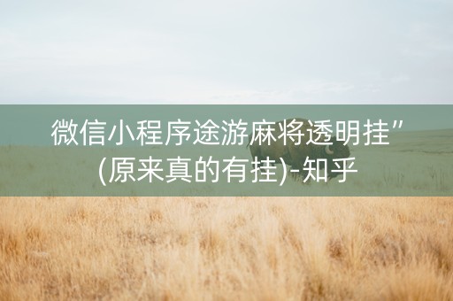 微信小程序途游麻将透明挂”(原来真的有挂)-知乎