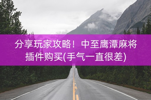 分享玩家攻略！中至鹰潭麻将插件购买(手气一直很差)