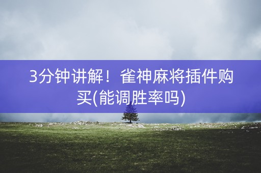 3分钟讲解！雀神麻将插件购买(能调胜率吗)