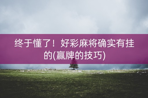 终于懂了！好彩麻将确实有挂的(赢牌的技巧)