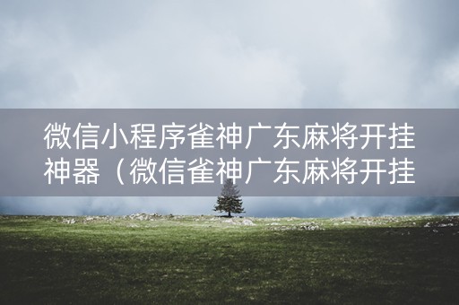 微信小程序雀神广东麻将开挂神器（微信雀神广东麻将开挂视频）