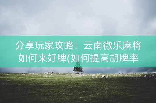 分享玩家攻略！云南微乐麻将如何来好牌(如何提高胡牌率)