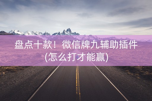 盘点十款！微信牌九辅助插件(怎么打才能赢)