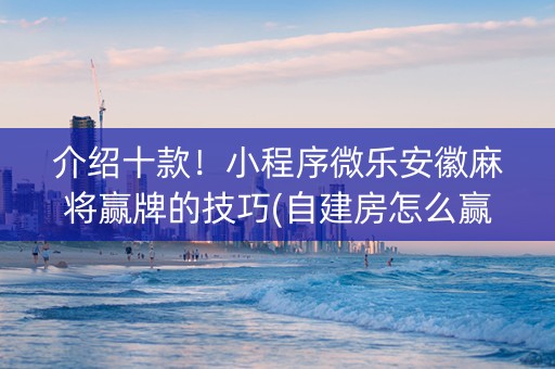 介绍十款！小程序微乐安徽麻将赢牌的技巧(自建房怎么赢)