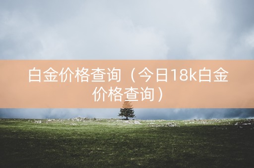 白金价格查询（今日18k白金价格查询）