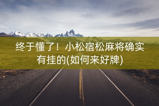 终于懂了！小松宿松麻将确实有挂的(如何来好牌)